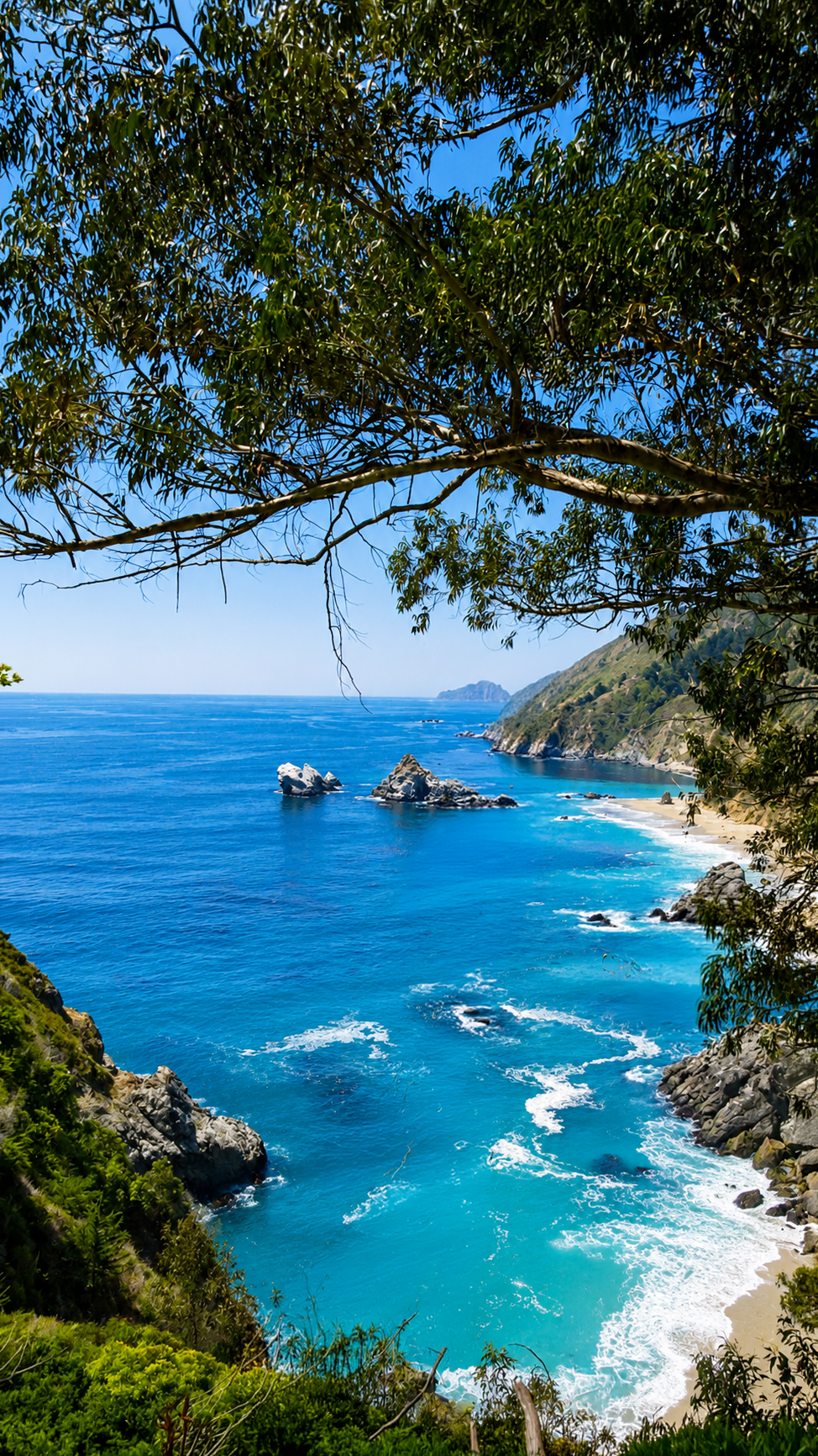 BigSur-Monterey (31)